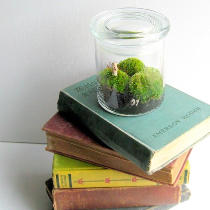 Wedding Blog Terrarium Moss 7 Comments terrarium wedding centerpieces