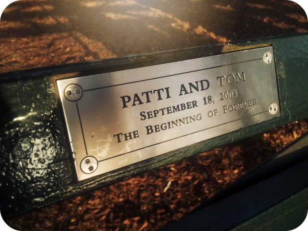 Pattie & Tom's Bench