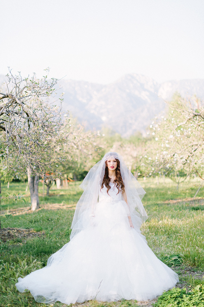 spring-bridal-shoot-twigs-and-honey-5