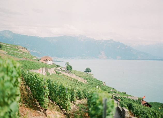 switzerland-romantic-blue-european-vineyard-wedding-inspiration37