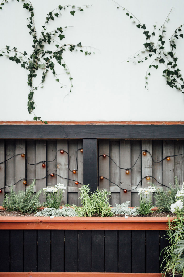 tremont-taphouse-modern-black-white-surprise-succulent-wedding-inspiration03