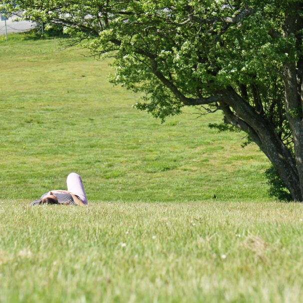 Mike & Jess Proposal Photo