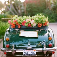 Four Seasons Biltmore Wedding by Lacie Hansen